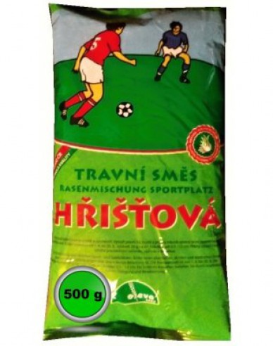 Rasenmischung für Sportplätze 0,5 KG