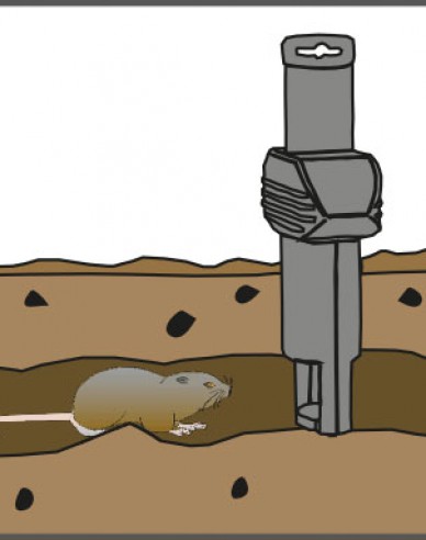 Schweizer Inno Super Cat Wühlmausfalle