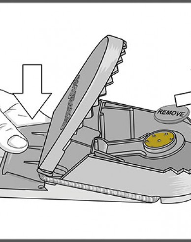 Swiss Inno Super Rattenfalle