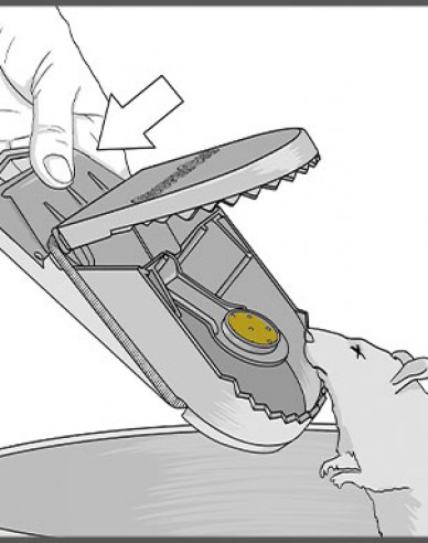 Swiss Inno Super Rattenfalle