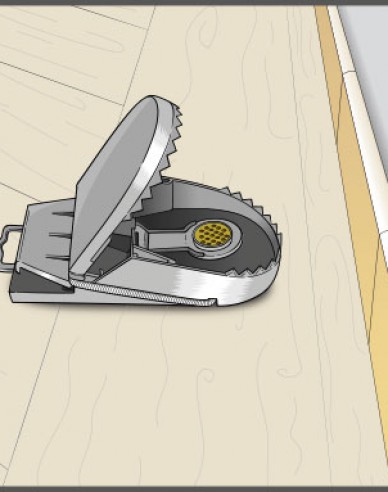 Swiss Inno Super Rattenfalle