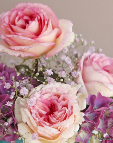 Rose Suovenir de Baden Baden