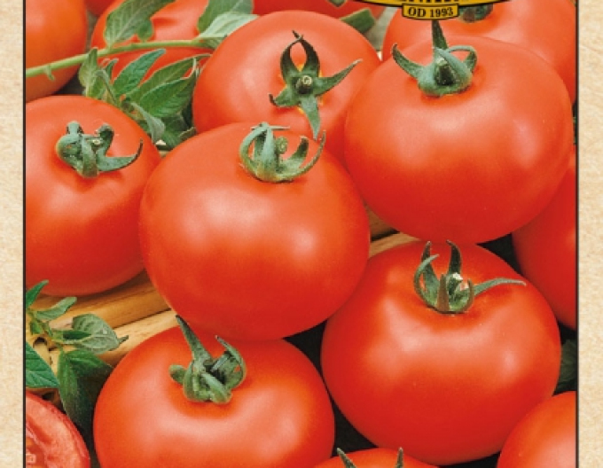 Stabtomate Balkán F1