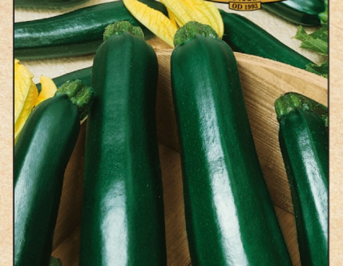 Zucchini Nero di Milano