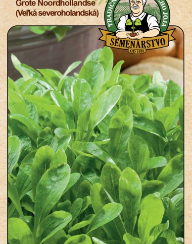 Feldsalat  Grote Noordholladse