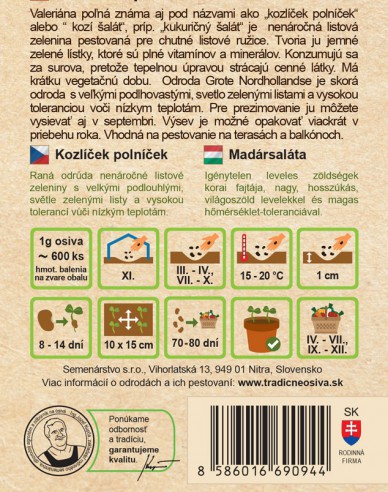 Feldsalat  Grote Noordholladse