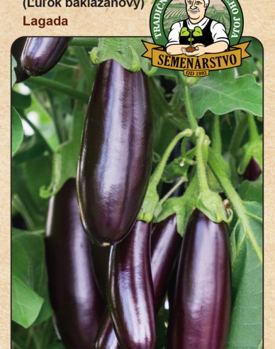 Aubergine Lagada