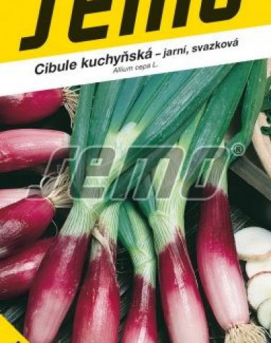 Semo Zwiebel Rossa di Firenze