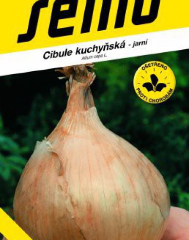 Semo Frühlingszwiebel Globo