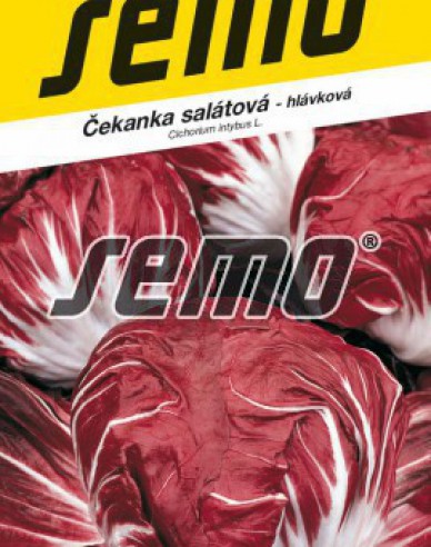 Semo Chicorée Palla Rossa 3