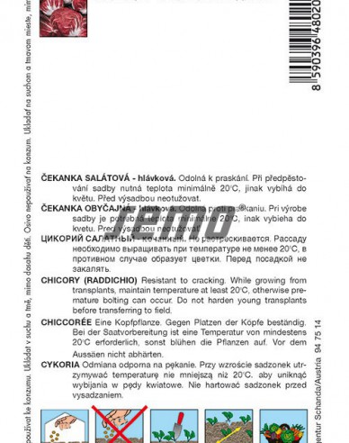 Semo Chicorée Palla Rossa 3