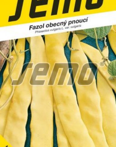 Semo Stangenbohne Meraviglia Di Venezia