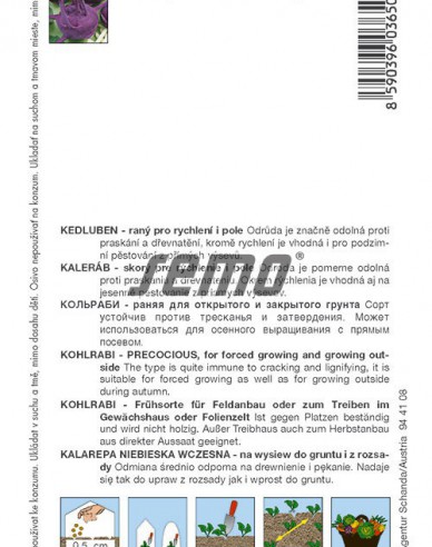 Semo Kohlrabi Modrava F1