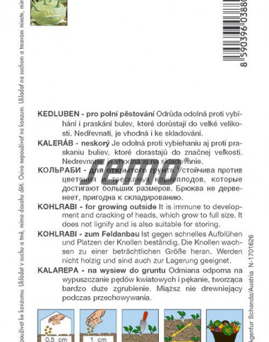 Semo Kohlrabi Kossak F1