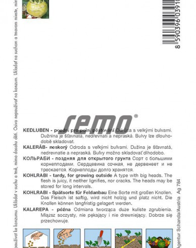 Semo Kohlrabi Gigant