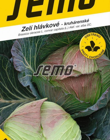 Semo Weißkohl  Pourovo Spät