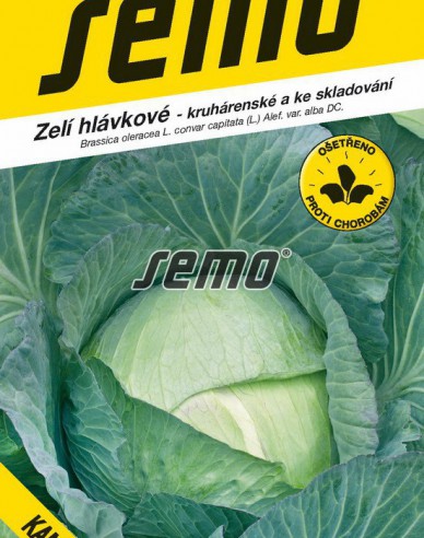 Semo Weißkohl  Kamienna Glowa