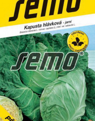 Semo Wirsing „Predzvesť“