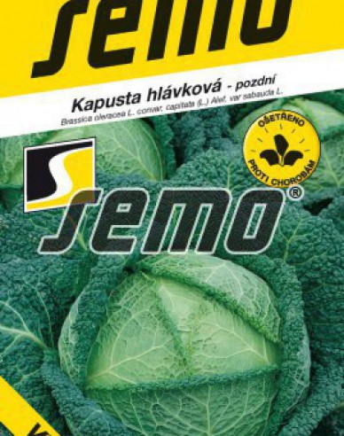 Semo Wirsing Vertus 2