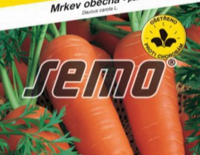 Semo Karotte Berlikumer 2