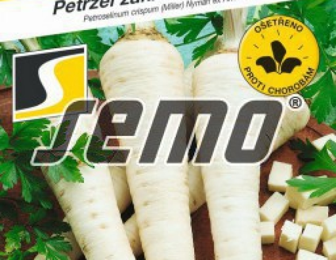 Semo Wurzelpetersilie Olmützer Lange