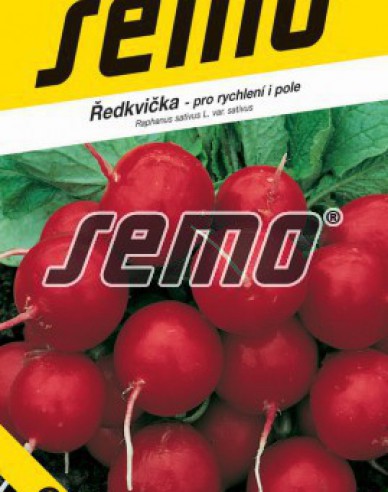 Semo Radieschen Granat