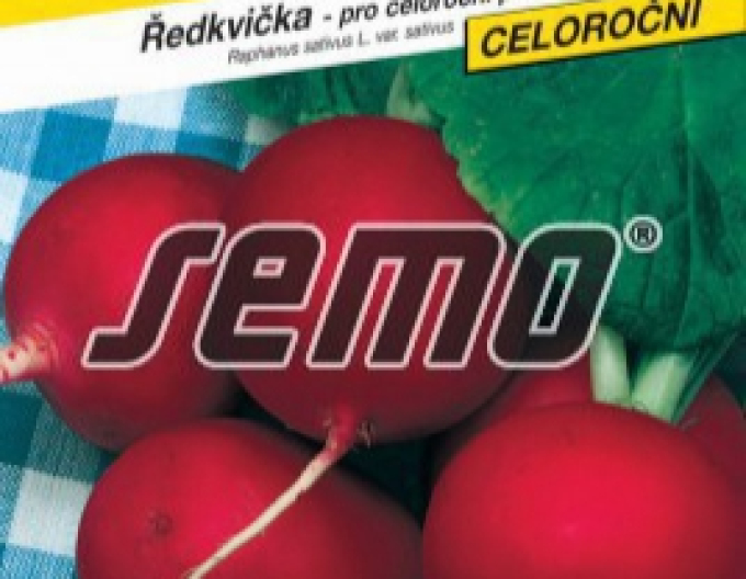 Semo Radieschen Tercia
