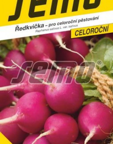 Semo Rettich lila Lilana