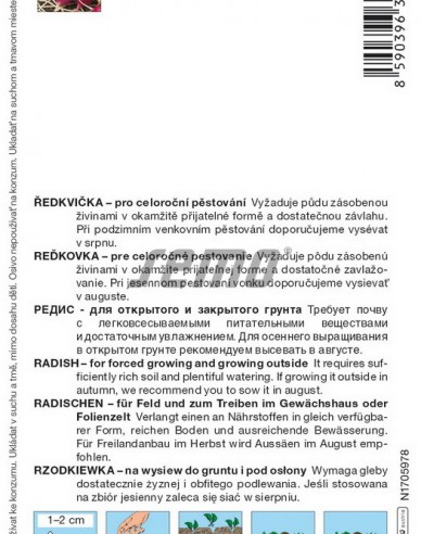 Semo Rettich lila Lilana