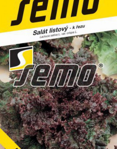 Semo Kopfsalat Roden