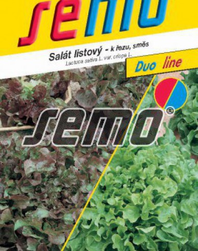 Saatgut Kopfsalat Bowl mix (Blattsalat)