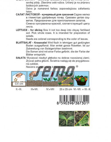 Saatgut Kopfsalat Bowl mix (Blattsalat)