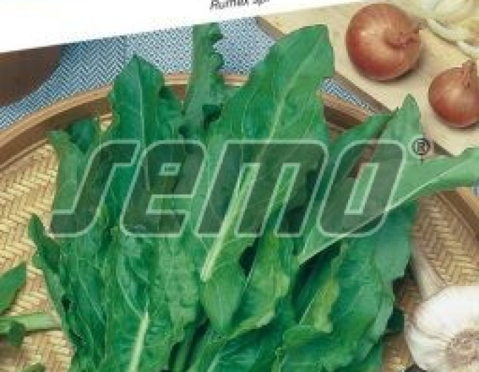 Gartensamen für Salate