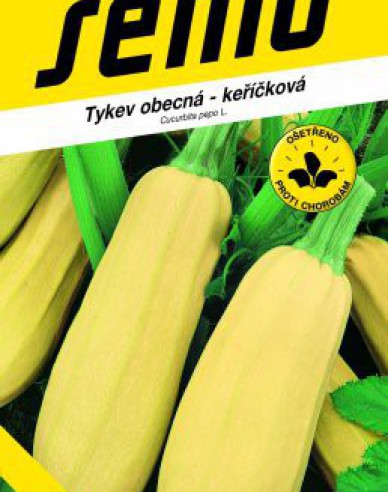 Samen Kürbisstrauch Kveta