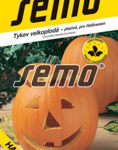 Semo Riesenkürbis Gran Gigante
