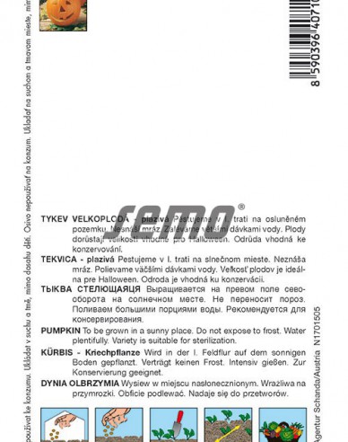 Semo Riesenkürbis Gran Gigante