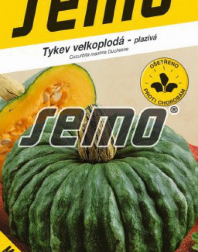 Semo Riesenkürbis Marina di Chioggia