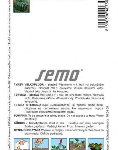 Semo Riesenkürbis Marina di Chioggia