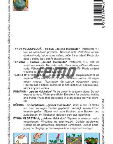 Semo Riesenkürbis Delica F1