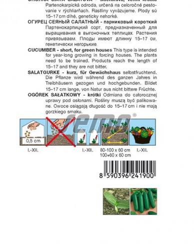 Semo Salatgurke Baby F1