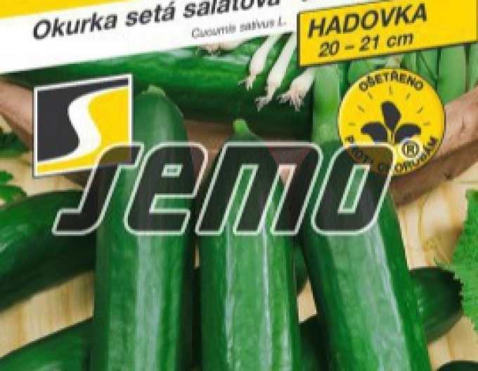 Semo Salatgurke  Emilie F1