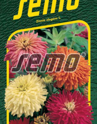 Semo Zinnie Kaktus Mix