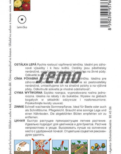 Semo Zinnie Kaktus Mix