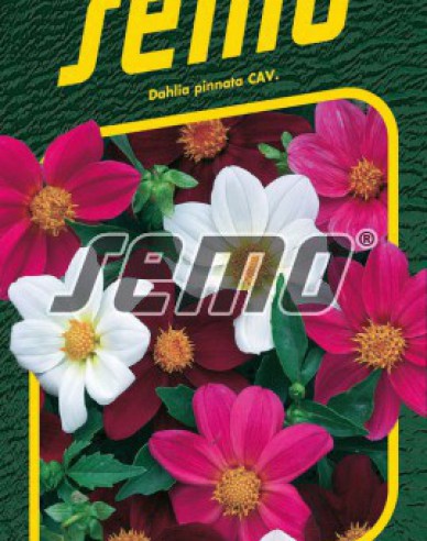 Semo Dahlie Mardi Gras