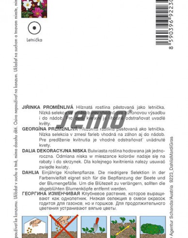 Semo Dahlie Mardi Gras