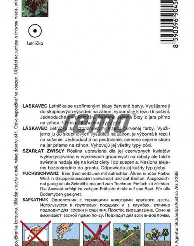 Semo Amaranth Pygmy Torch