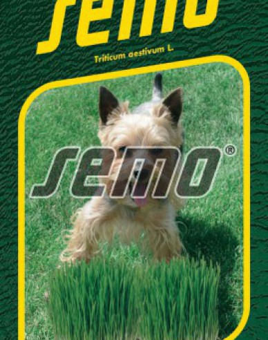 Semo Grass für Hunde