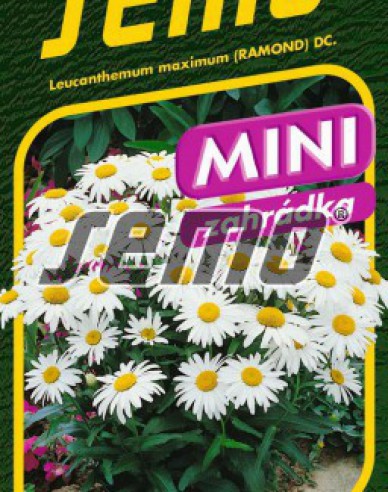 Semo Margerite Silver Prinzess