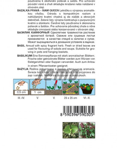 Semo Basilikum Siam Queen