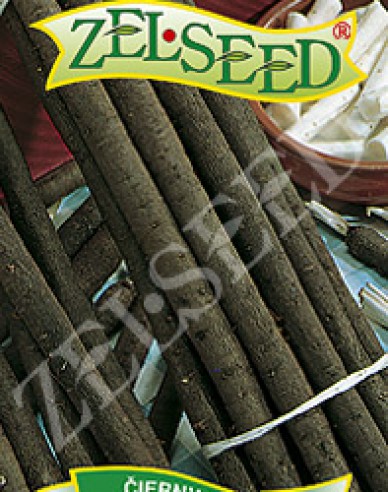Zelseed Schwarzwurzel